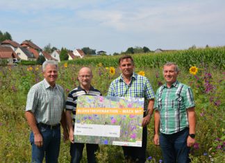 Prambachkirchen blüht auf