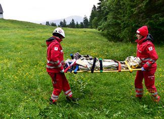 300 Forstunfälle in Oberösterreich