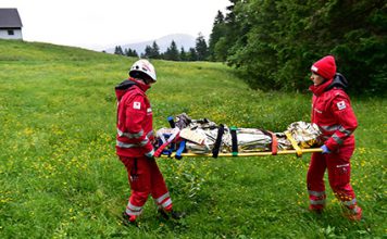 300 Forstunfälle in Oberösterreich
