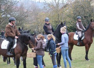 Leonhardiritt in Pesenbach