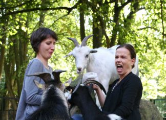 Liedernachmittag in Eferding
