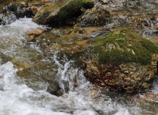 Meditationsabende in der Fastenzeit