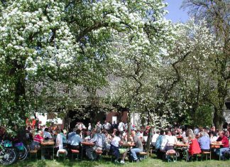 50. Schartner Mostkost