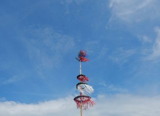 Maibaum der Stadt Eferding