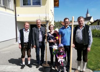 Geburtenbäumchen in Pötting
