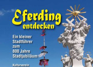 Neuer Eferdinger Stadtführer