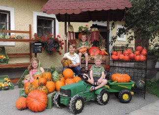 Hartkirchner Herbstfest