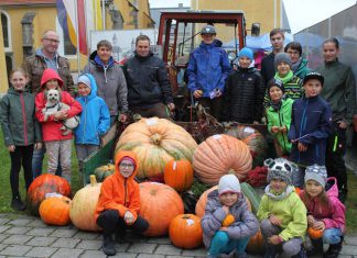 Herbstzeit ist Kürbiszeit