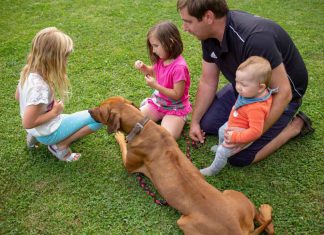 Hundefreunde Grieskirchen starten ins Kursjahr