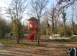 Walderwachen für gutes Klima