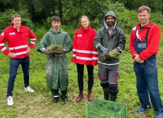 Eferdinger Asylwerber als Ernteretter