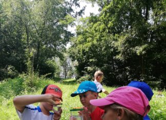Expedition in die Trattnach