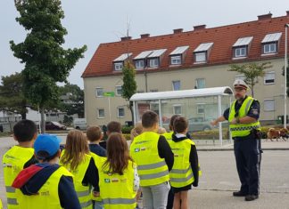 Verkehrssicherheit in Pasching