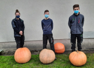Kürbischallenge an Fachschule
