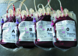 Blutspende-Aktion in Eferding