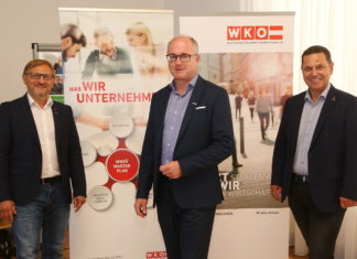 411 neue Unternehmen in den Bezirken Eferding und Grieskirchen