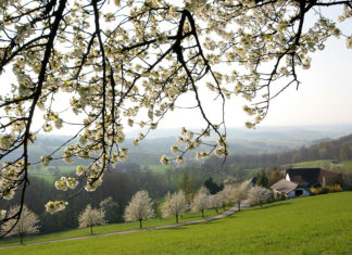 Frühling im Naturpark erleben