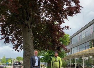 Besuch des „Baumdoktors“