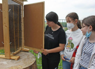 Bienenlehrpfad im Schulzentrum