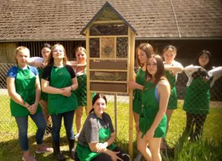 Insektenhotel im Schulgarten