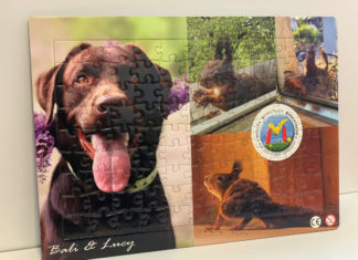 Neues Marchtrenker Puzzle