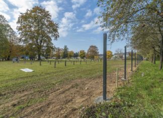 Umgestaltung Kriegerfriedhof