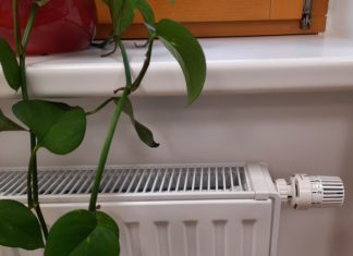 Beratungen „Raus aus dem Öl“