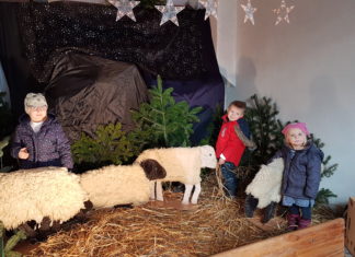 Weihnachtsweg in Eferding