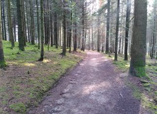 Zwei Tage Schnupper-Pilgern