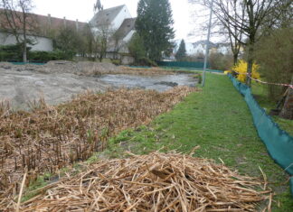 Geschiebebecken Mittergrabenbach