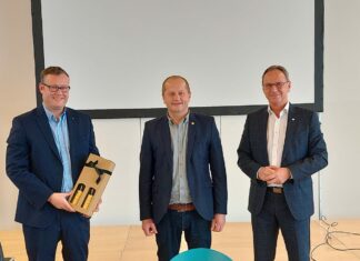 Goldene Umweltprofi Nadel