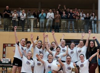 Landesmeistertitel im Volleyball