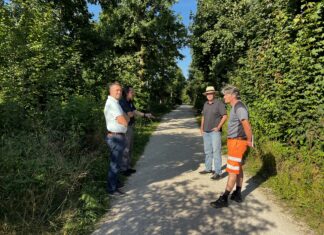 Erholungswald in Pasching