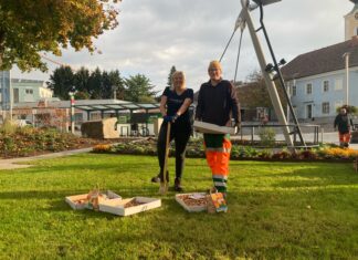 Bepflanzung in Leonding