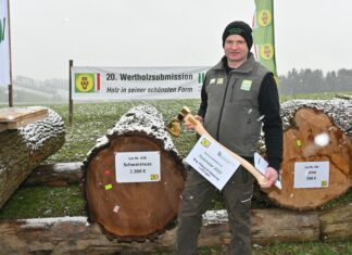 Wertholzversteigerung OÖ