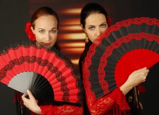 Aufführung „Flamencoevolution“