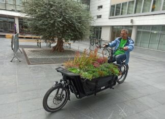 E-Transportrad in Leonding