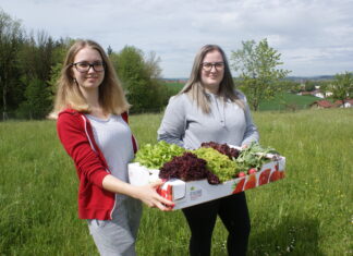Ausbildung „Feldgemüsebau“