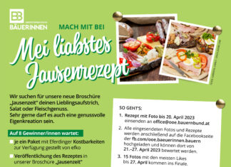 Jausenzeit-Broschüre