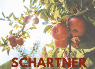Schartner Mostkost
