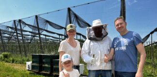 Bienenpatenschaft übernommen