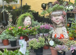 GartenLust im Schloss Starhemberg