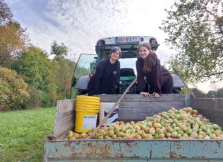 Streuobstwiese in Bergheim