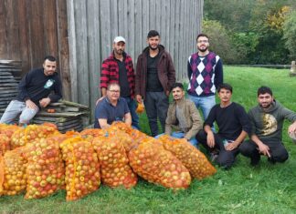 Obstklauben für die gute Sache