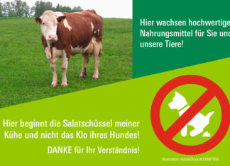 Verschmutzung von Grünflächen
