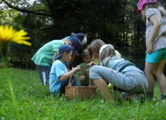 Naturpark-Familienerlebnistag