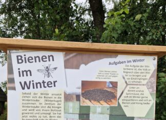Bienenlehrpfad in Pasching