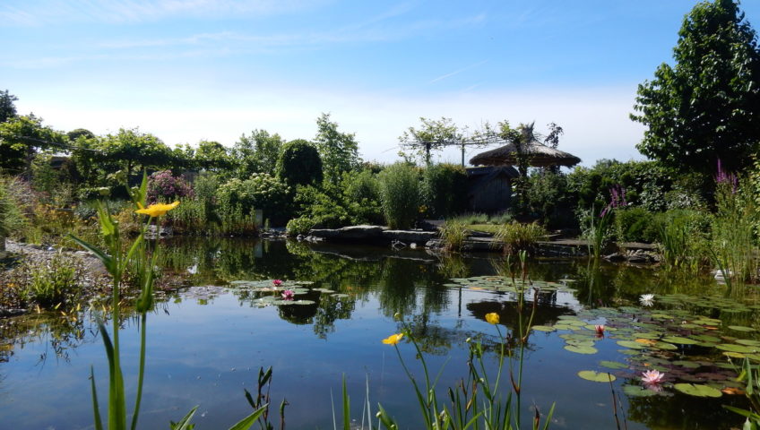 Schwimmteich-848x480